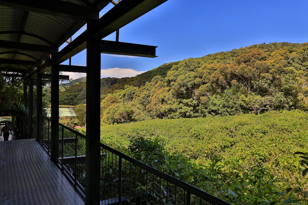 The Rainforest Ecolodge