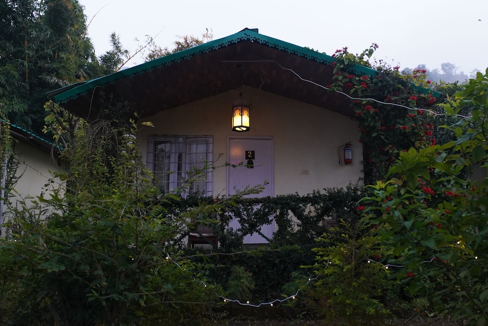 Shoolin Jungle Resort