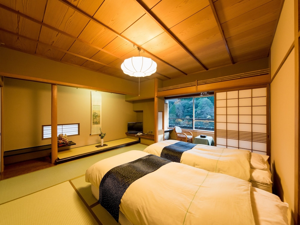 Misasa Onsen MISASAKAN view 2