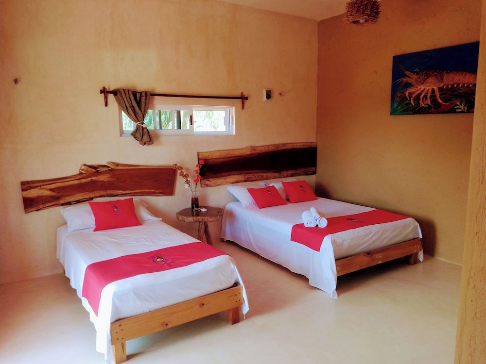 Tribe Beachville view 5
