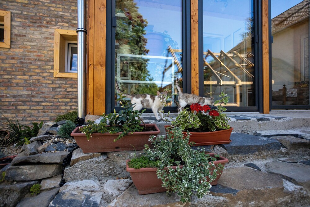Nora Guest House