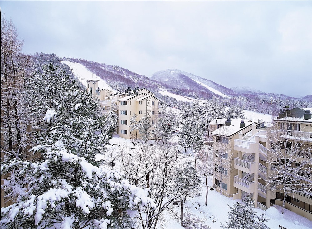 Mona Yongpyong Villa Condominium