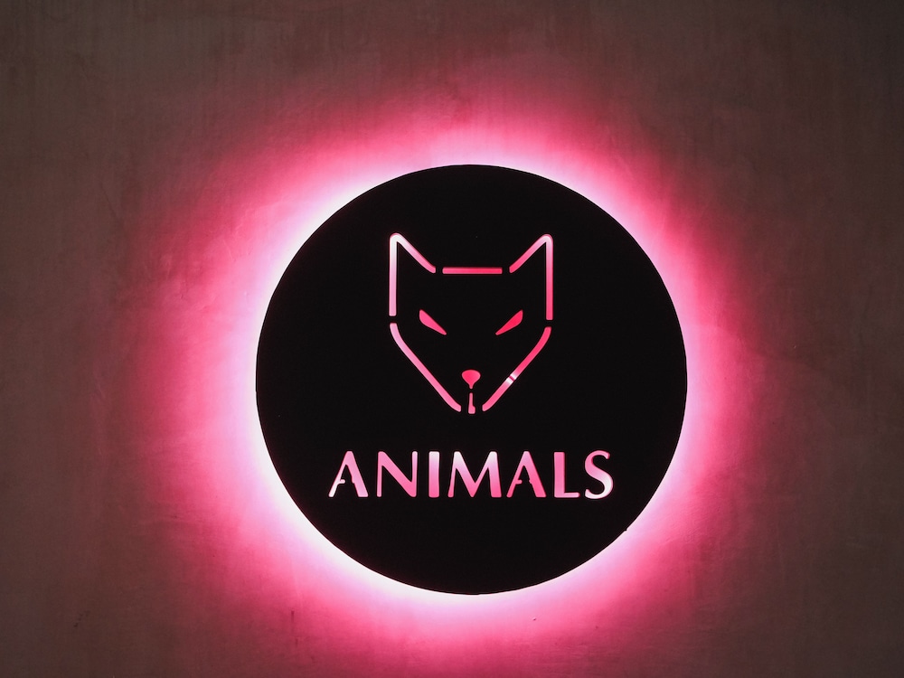 Animals Ahangama