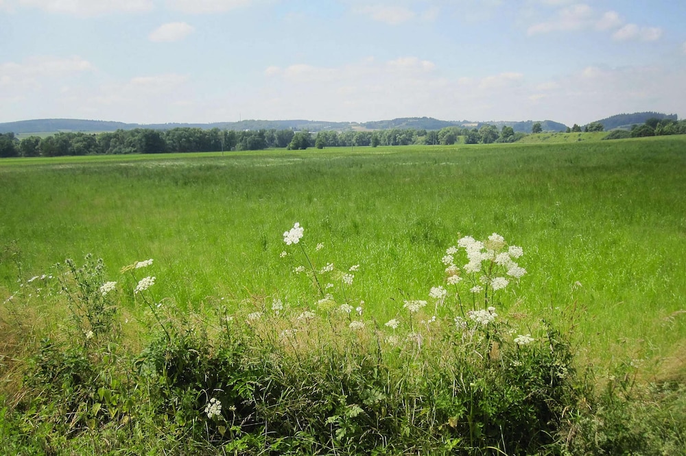 Apartment in Eifel Near Hiking Trails