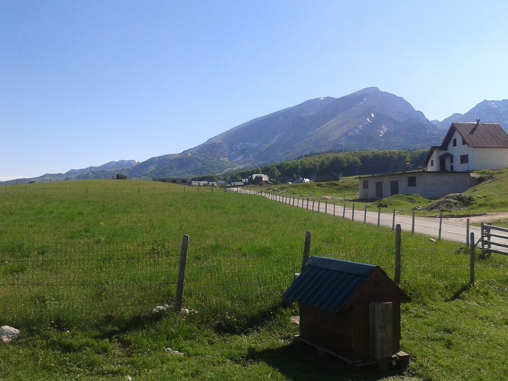 Photo 39