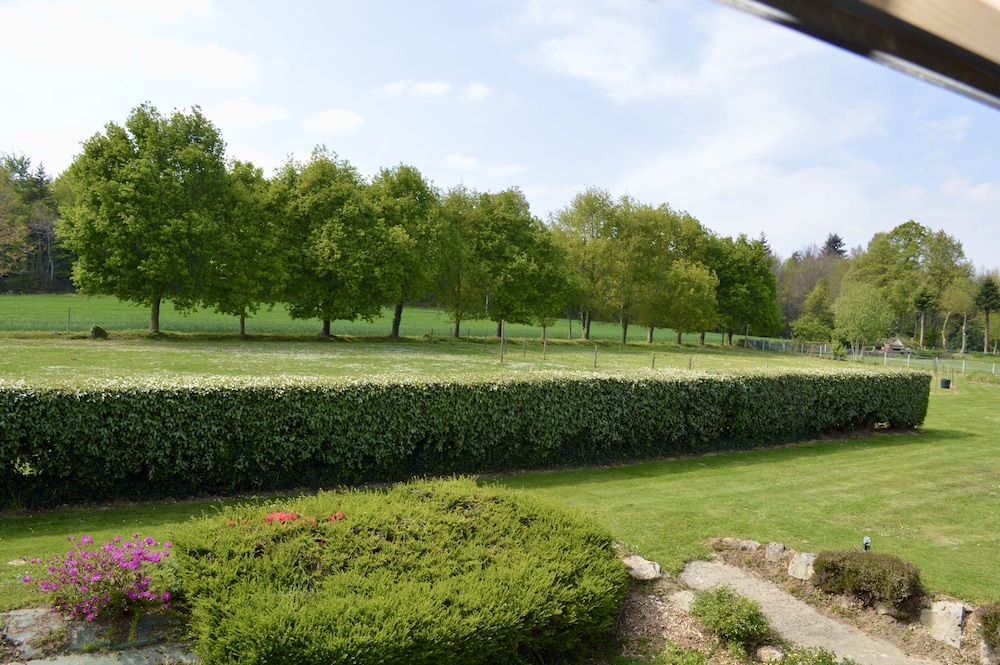 Photo 41