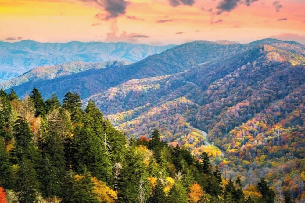 Lovely Cabin near GSMNP & Attractions