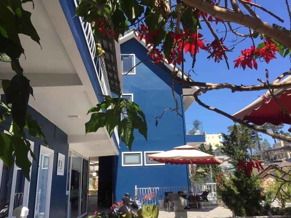 My House - Hostel