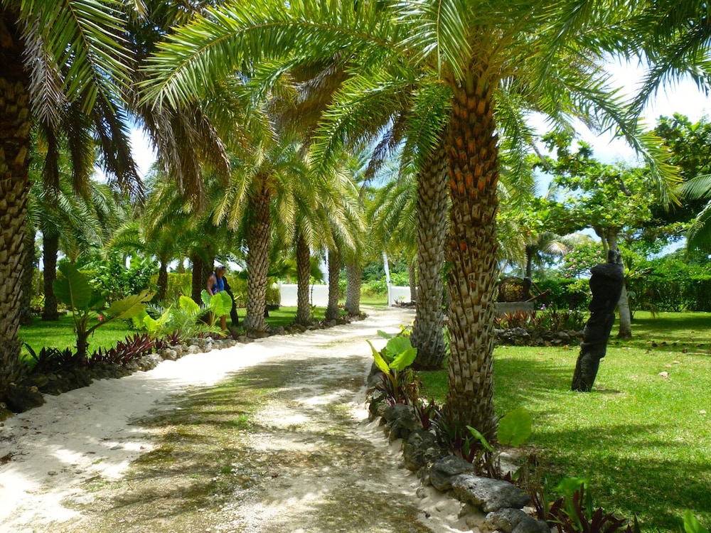 Photo 7