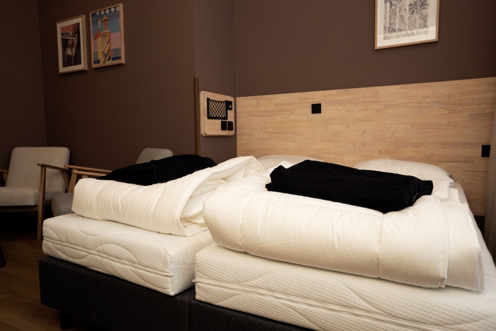 The Elephant Hostel