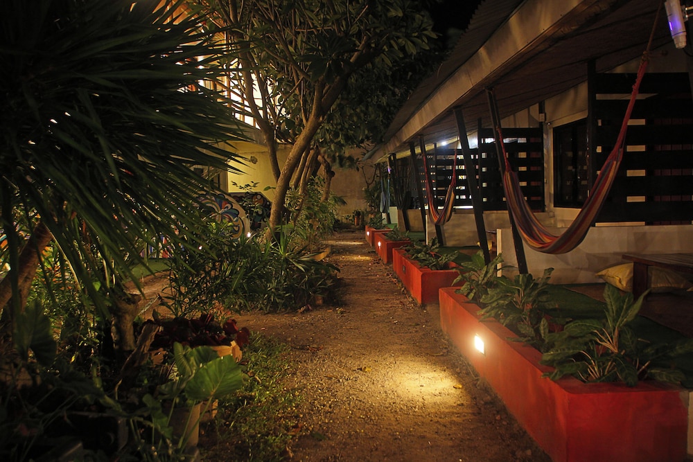 The Lazy Dog Bed & Breakfast