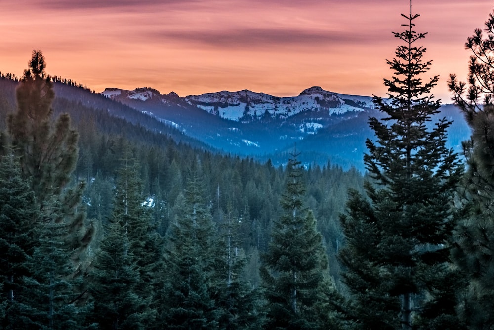 Lake Tahoe Vacations - Lux Leisure - Property Image 7