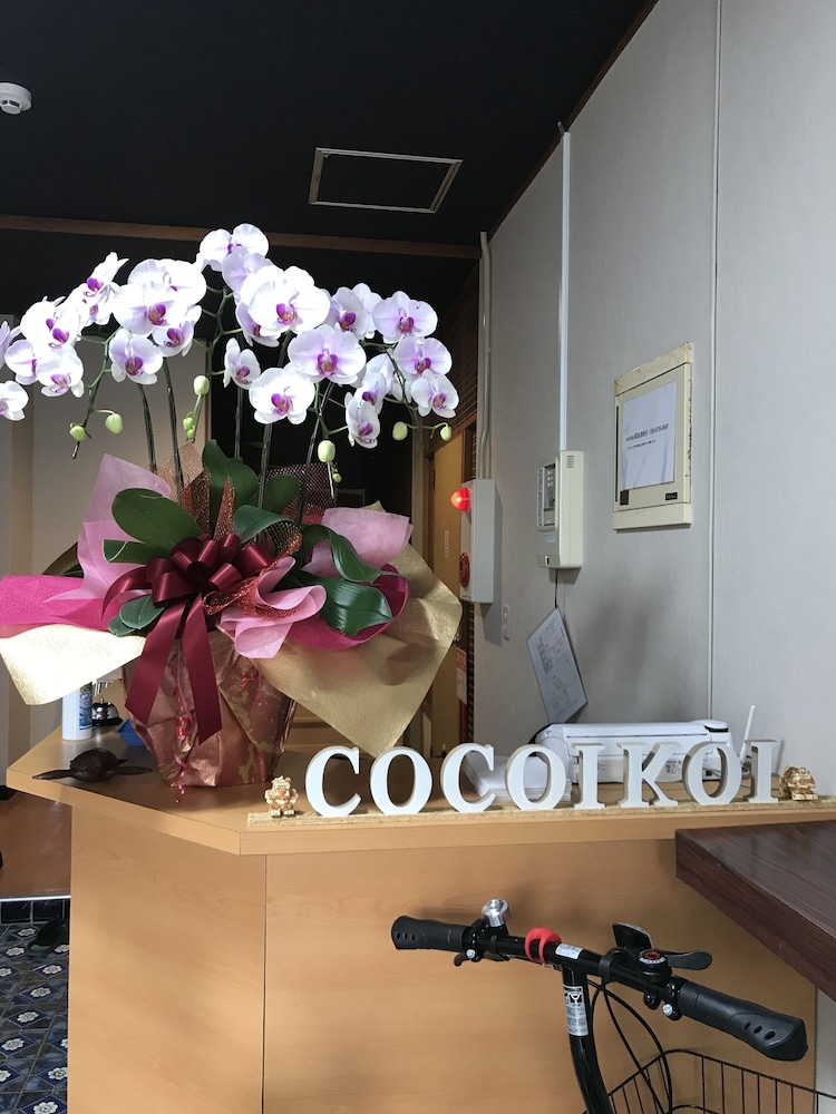 Miyakojima guest house cocoikoi - Hostel view 3