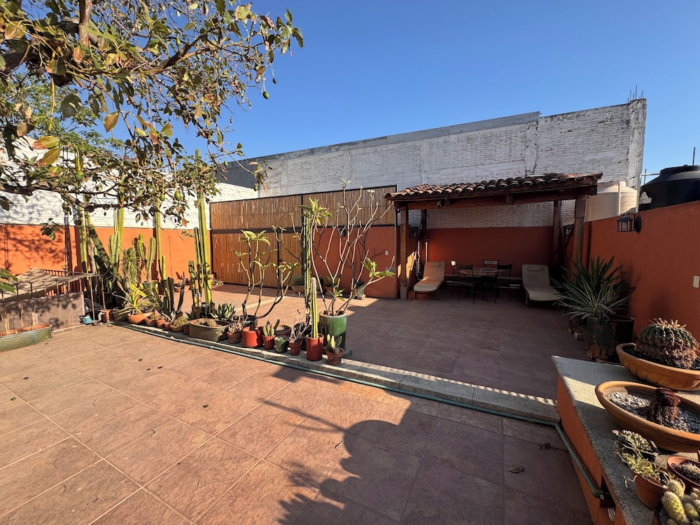 La Casa del Arbol