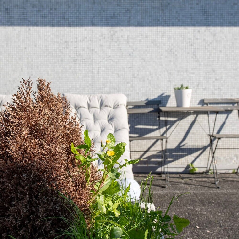 Liiiving in Porto - Light Terrace Apartment view 4