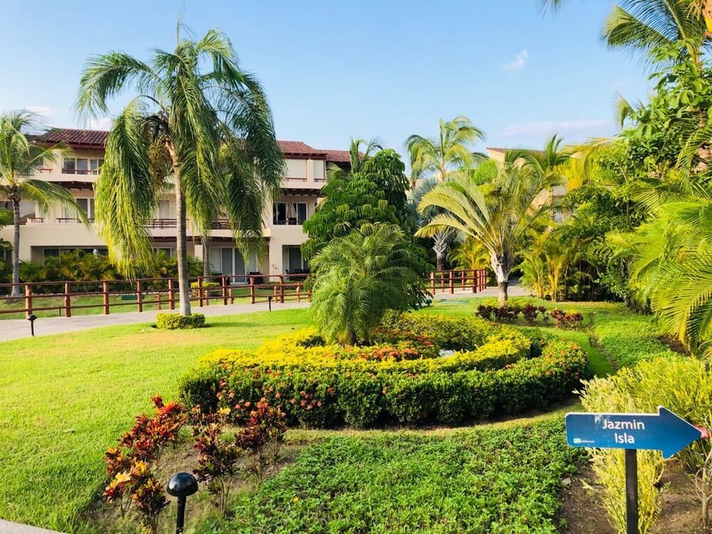 El Tigre Isla Palmares