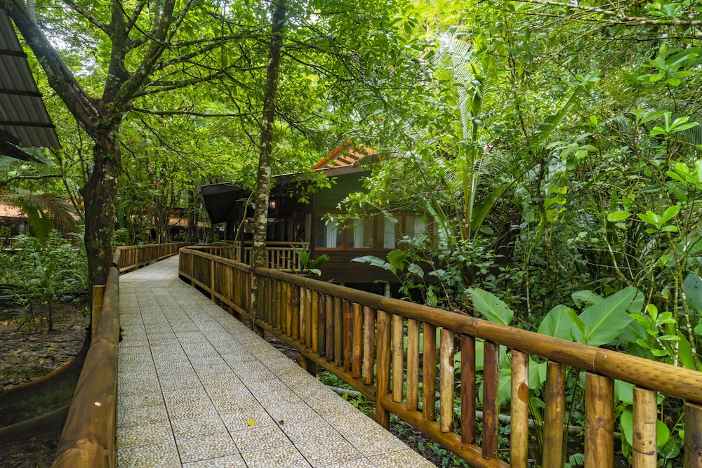 Evergreen Lodge
