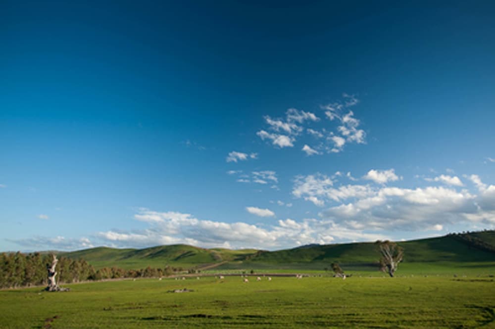 Curringa Farm