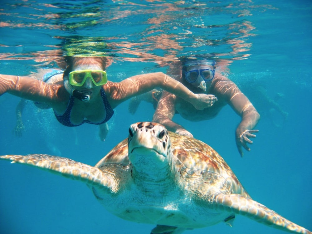 Tanna Evergreen Resort & Tours