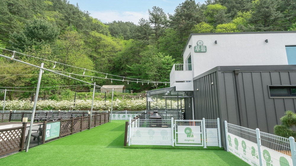 Gapyeong Dangdangi Pet Poolvilla Blue