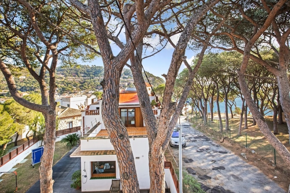 Ancora 05 in Llafranc