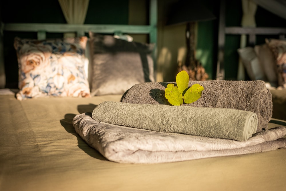 Sian Simba River Lodge view 5