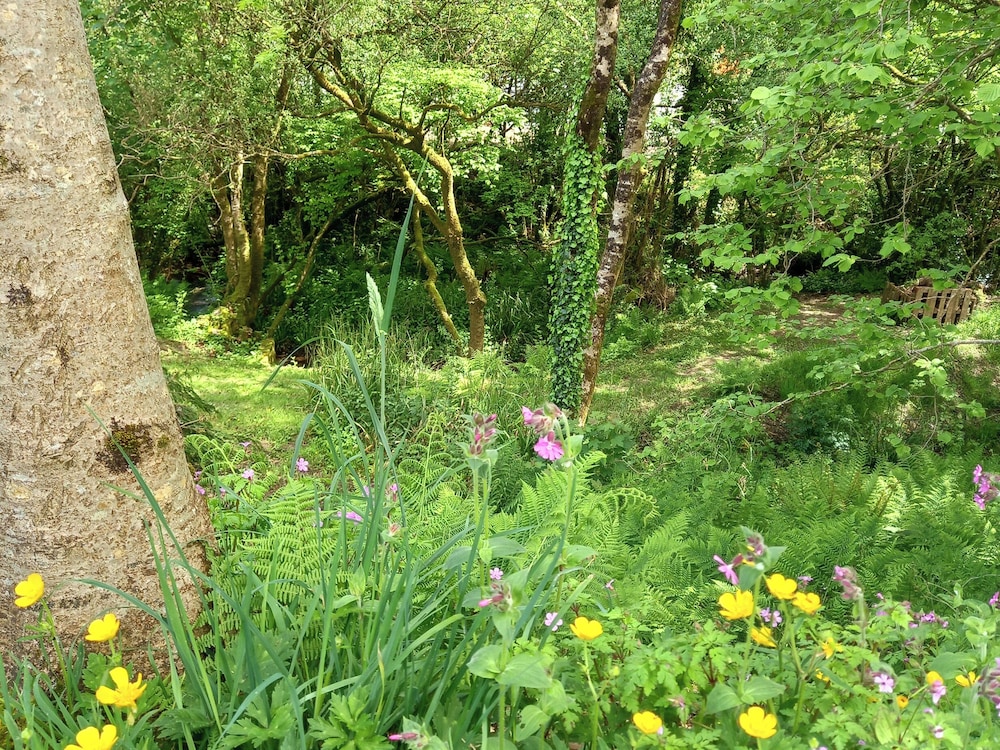 Kingfisher Cottage