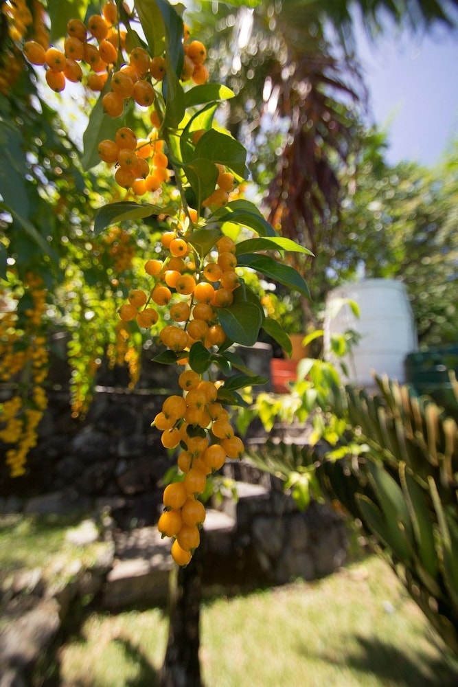 Lemongrass Lodge