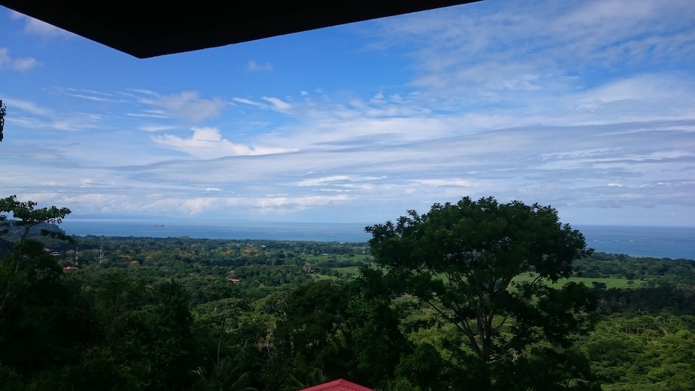 Vista Ballena