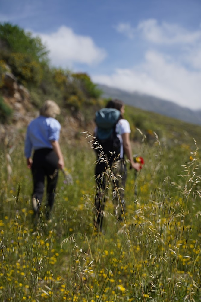 Villa Stella Suites photo 4