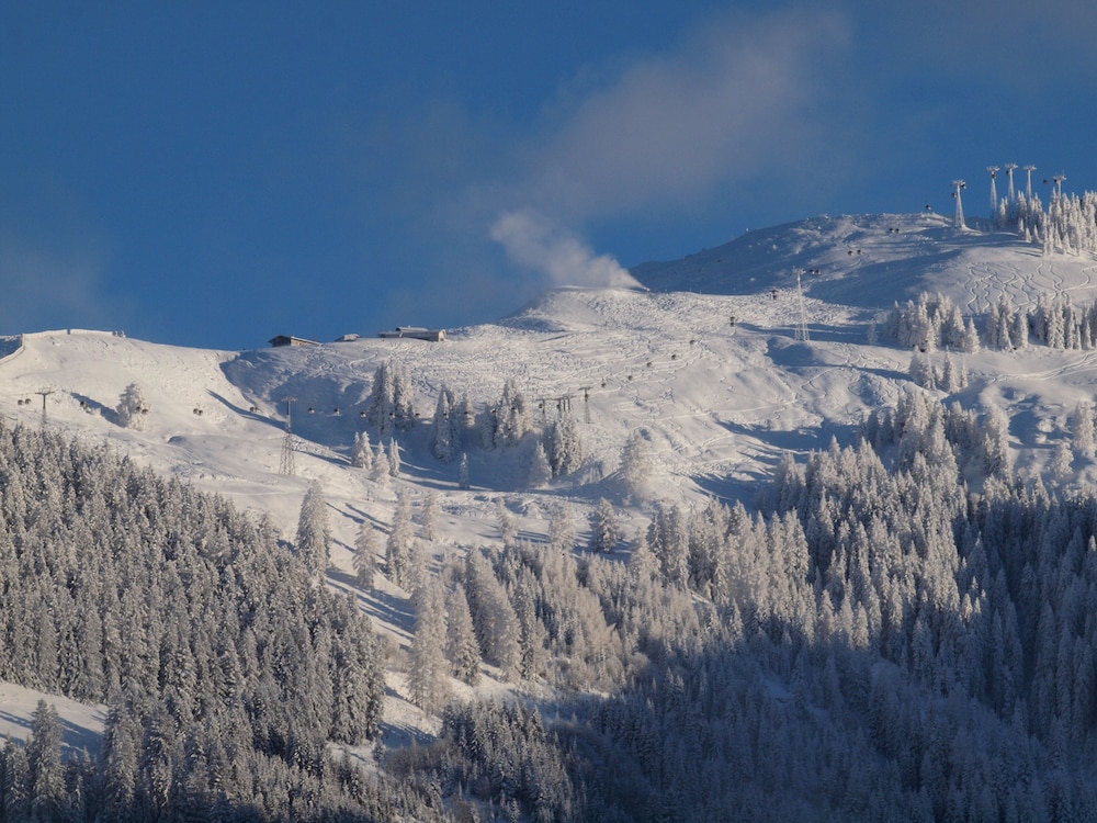 Tannenhof, photo 14
