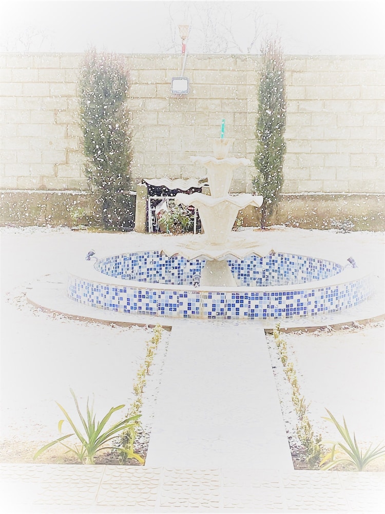 Photo 52