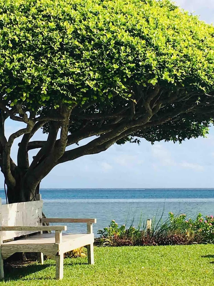 Le Ficus Iti - Belle Villa Bord de mer et Piscine
