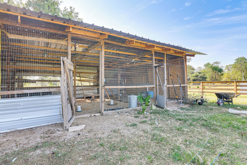 Farm Animals On-site: Needville Ranch Getaway!