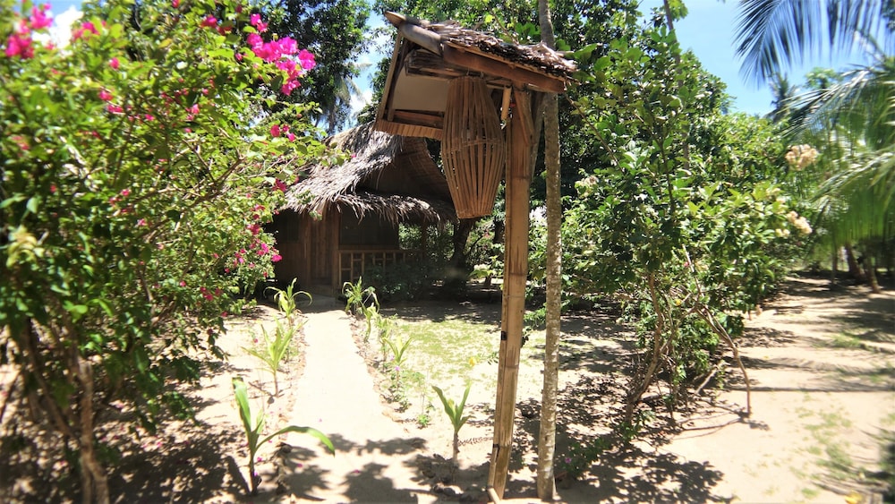 Photo 41