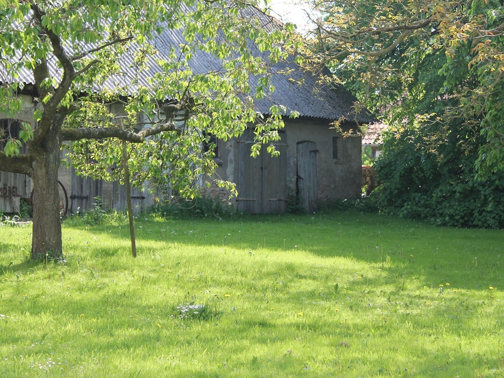 Photo 36