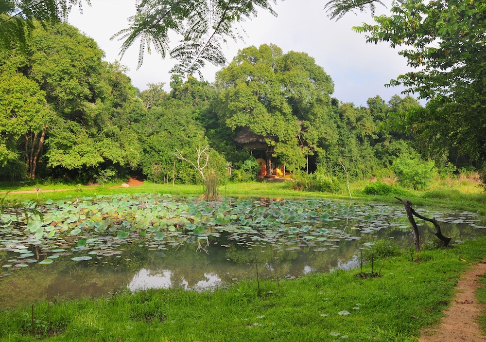 Back of Beyond - Dehigaha Ela