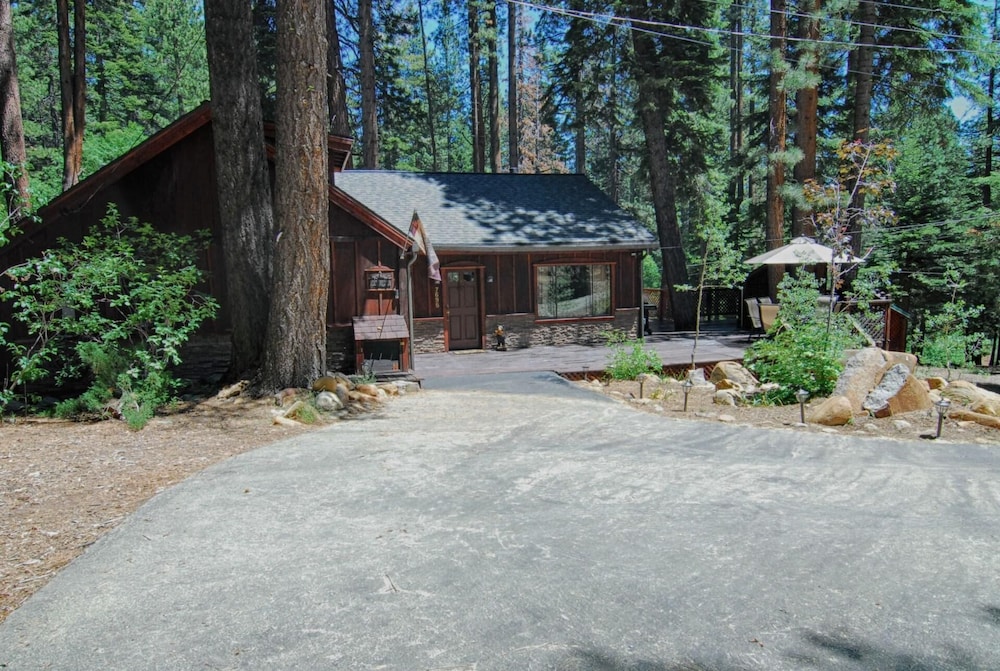 The Bernstein Bear Cabin view 2
