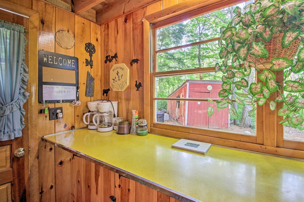 Quiet  Remote Cottage on Panther Pond! - Property Image 11