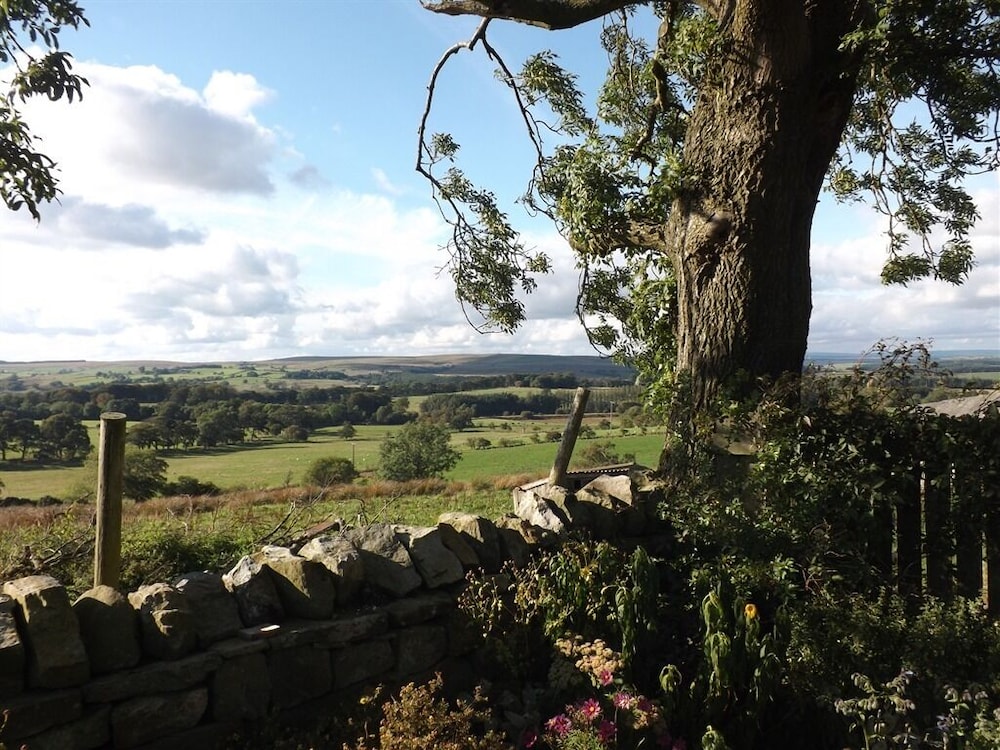 Haltwhistle Vacations - Hillis Close Farm - Property Image 3