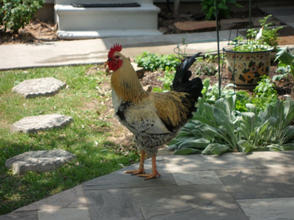 Honey Farm Bed & Breakfast