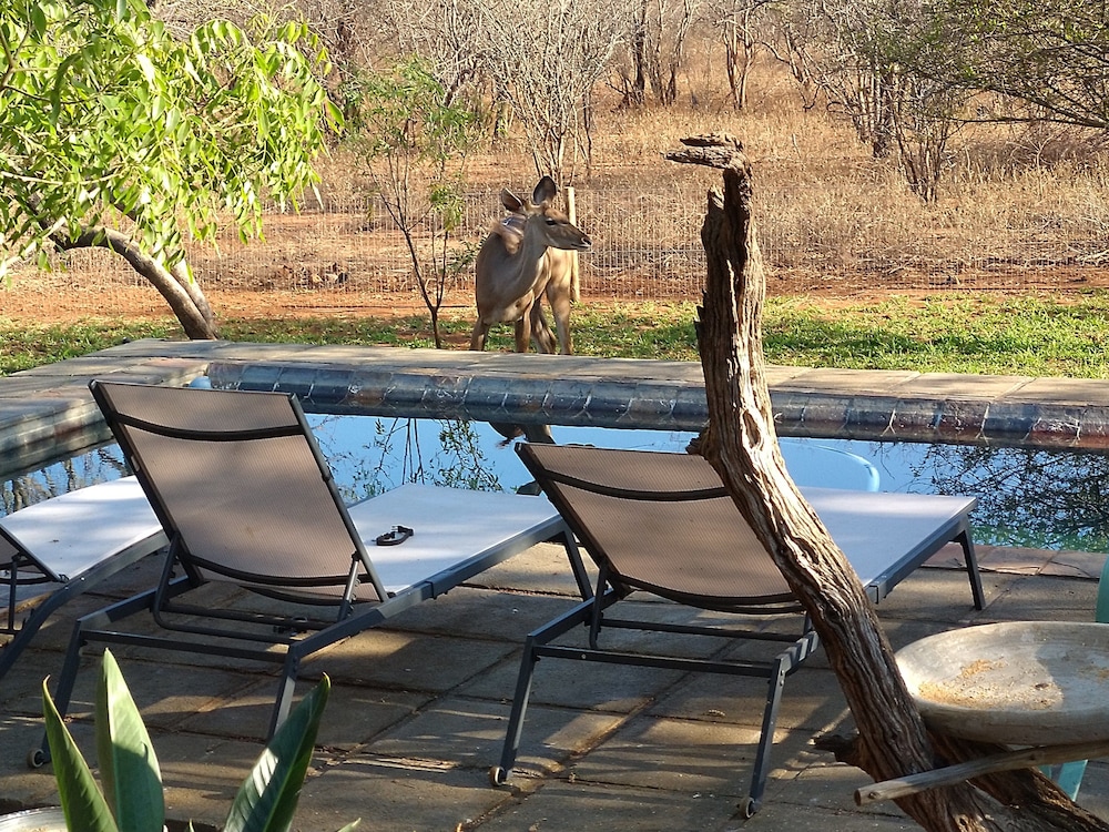 Call of the Wild Lodge