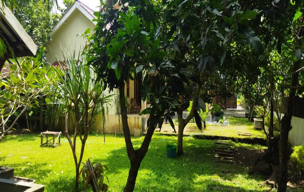 Photo 39