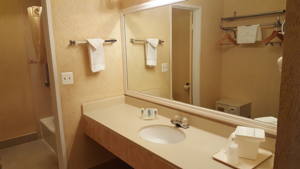 Tampa Vacations - Econo Lodge Busch Gardens - Property Image 39