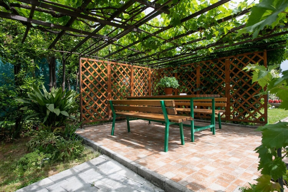 Photo 11