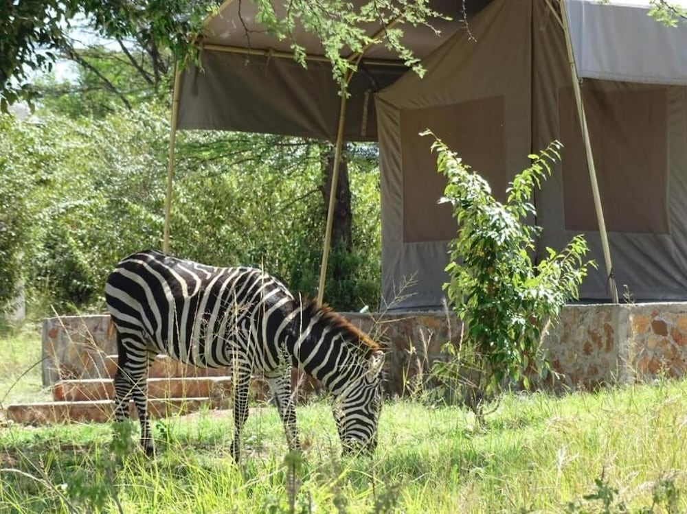 Semadep Safari Camp