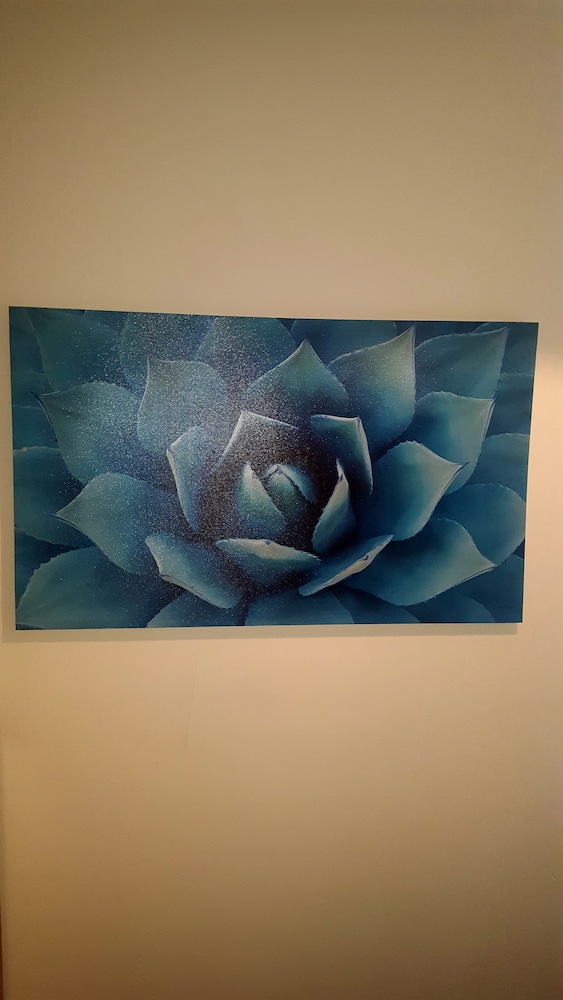 Tony Asga - Sakina Apartment