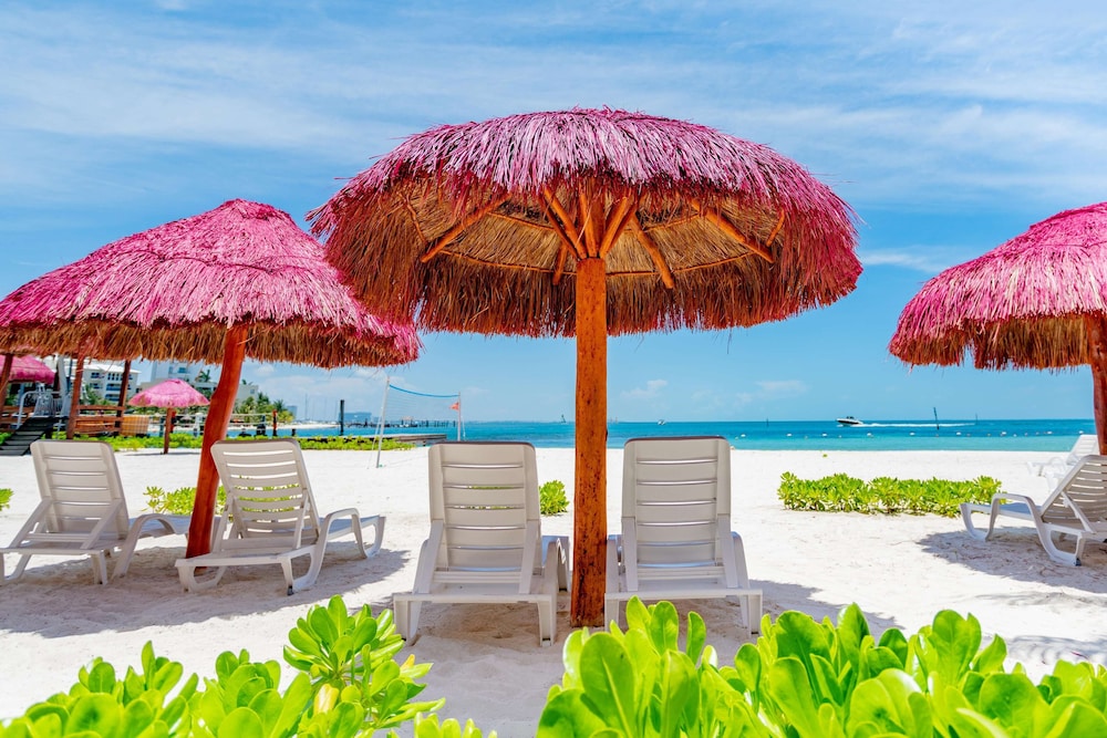Oasis Palm - All Inclusive