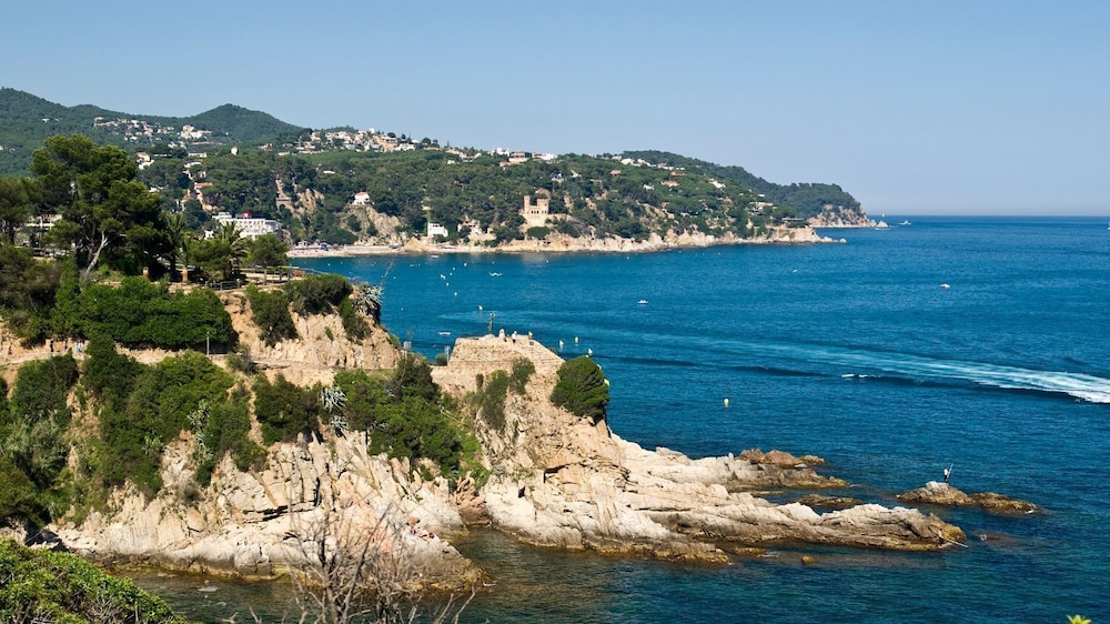 Brava in Lloret de Mar