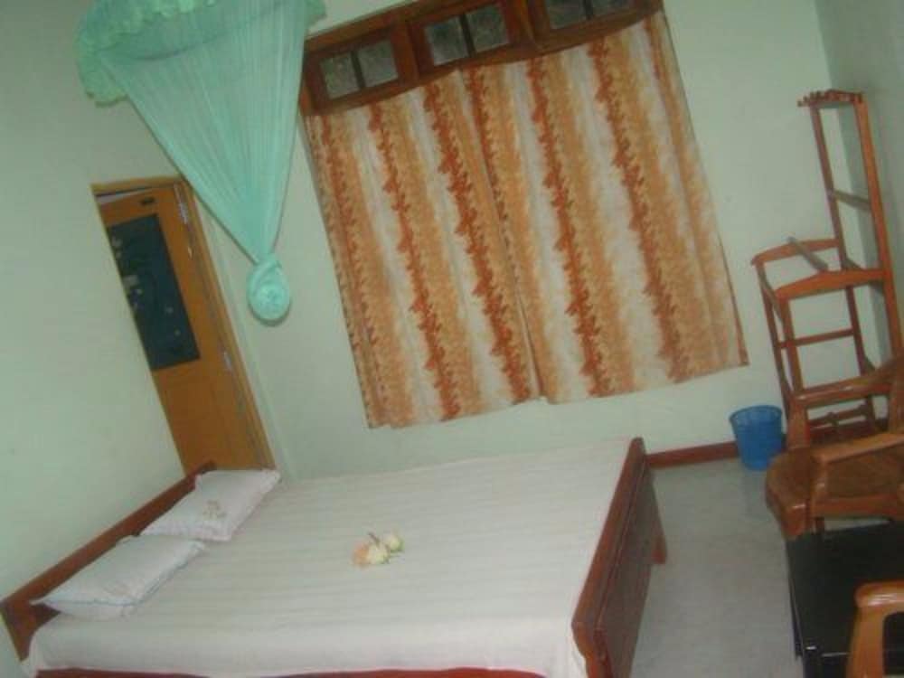 ALP Guest